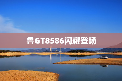 鲁GT8586闪耀登场