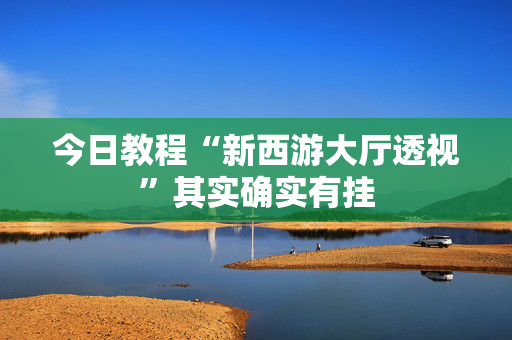 今日教程“新西游大厅透视”其实确实有挂