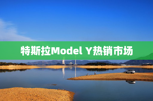 特斯拉Model Y热销市场