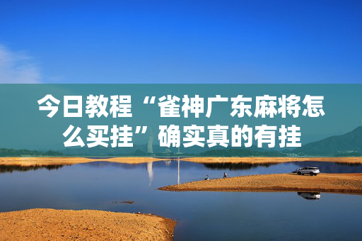 今日教程“雀神广东麻将怎么买挂”确实真的有挂