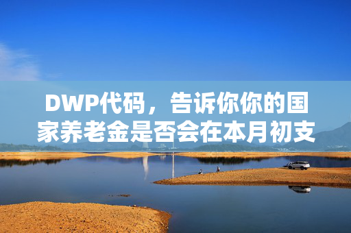 DWP代码，告诉你你的国家养老金是否会在本月初支付