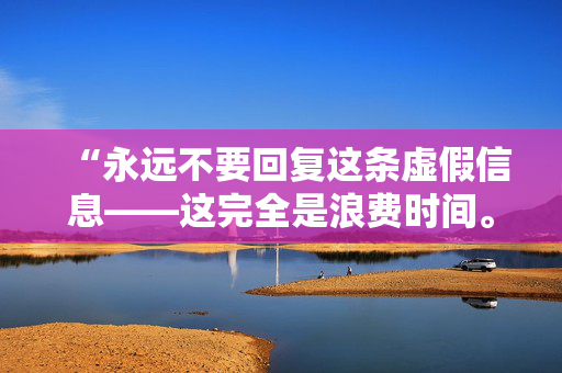 “永远不要回复这条虚假信息——这完全是浪费时间。”