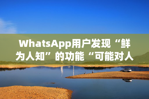 WhatsApp用户发现“鲜为人知”的功能“可能对人际关系不利”