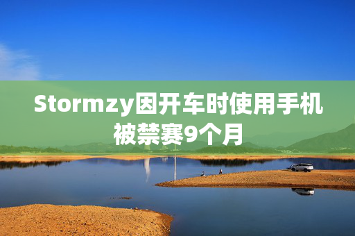 Stormzy因开车时使用手机被禁赛9个月