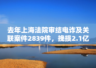 去年上海法院审结电诈及关联案件2839件，挽损2.1亿元