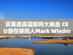 贝莱德高层即将大换血 CEO潜在接班人Mark Wiedman据悉离职