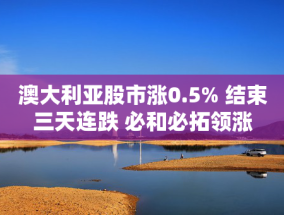 澳大利亚股市涨0.5% 结束三天连跌 必和必拓领涨