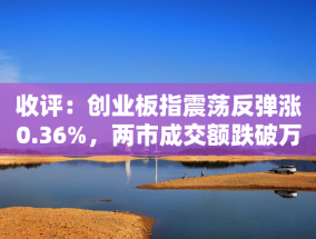 收评：创业板指震荡反弹涨0.36%，两市成交额跌破万亿