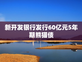 新开发银行发行60亿元5年期熊猫债