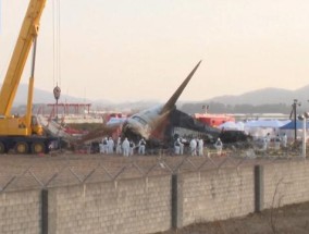 关键时刻“掉线”韩国空难客机黑匣子被曝无电力辅助装置