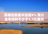 泉峰控股盘中涨超9% 预计全年纯利不少于1.1亿美元