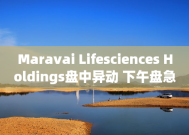 Maravai Lifesciences Holdings盘中异动 下午盘急速上涨5.03%报4.80美元