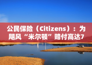 公民保险（Citizens）：为飓风“米尔顿”赔付高达7.4亿美元