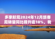 多家航司2024年12月旅客周转量同比提升逾10%，我国民航去年旅客运输量创纪录