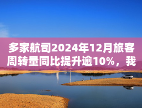 多家航司2024年12月旅客周转量同比提升逾10%，我国民航去年旅客运输量创纪录