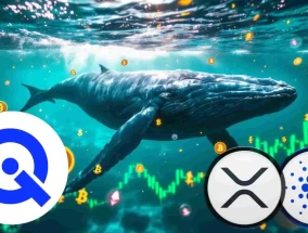 瑞波币价格挣扎：Ripple Whale与Cardano （ADA）和wallitq （WLTQ）合作实现多元化