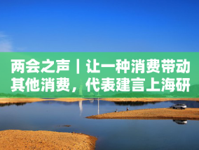 两会之声｜让一种消费带动其他消费，代表建言上海研究制定“套票”方案