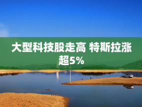 大型科技股走高 特斯拉涨超5%