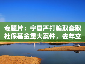 专题片：宁夏严打骗取套取社保基金重大案件，去年立案40人