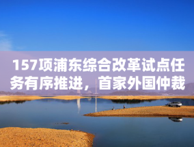 157项浦东综合改革试点任务有序推进，首家外国仲裁机构业务机构落地