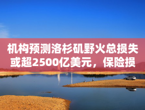 机构预测洛杉矶野火总损失或超2500亿美元，保险损失或达300亿美元