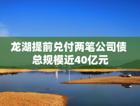 龙湖提前兑付两笔公司债 总规模近40亿元