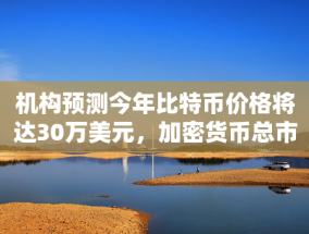 机构预测今年比特币价格将达30万美元，加密货币总市值达到10万亿美元