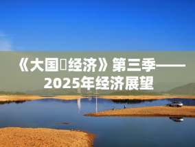 《大国・经济》第三季——2025年经济展望