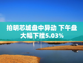 拍明芯城盘中异动 下午盘大幅下挫5.03%