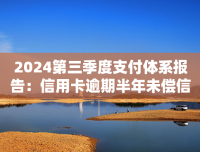 2024第三季度支付体系报告：信用卡逾期半年未偿信贷总额环比增长15.46%