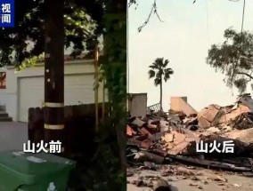 大火还在燃烧，前童星死在母亲眼前！消防栓为何没水？洛杉矶市长无言以对！当地华人：朋友的收藏品、字画，全都没了