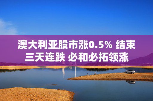 澳大利亚股市涨0.5% 结束三天连跌 必和必拓领涨