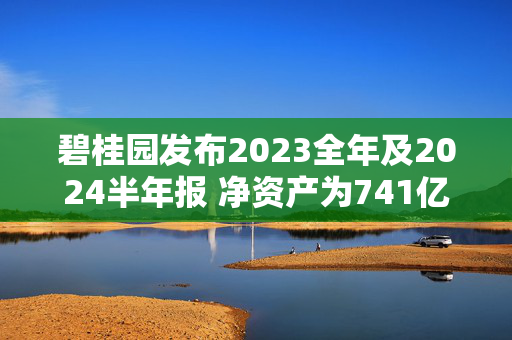 碧桂园发布2023全年及2024半年报 净资产为741亿元