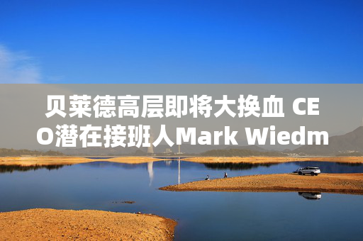 贝莱德高层即将大换血 CEO潜在接班人Mark Wiedman据悉离职