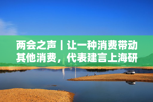 两会之声｜让一种消费带动其他消费，代表建言上海研究制定“套票”方案