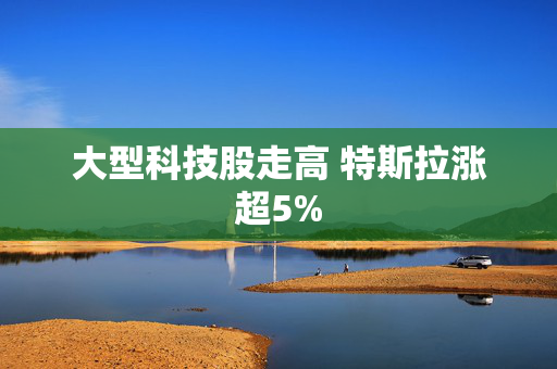 大型科技股走高 特斯拉涨超5%