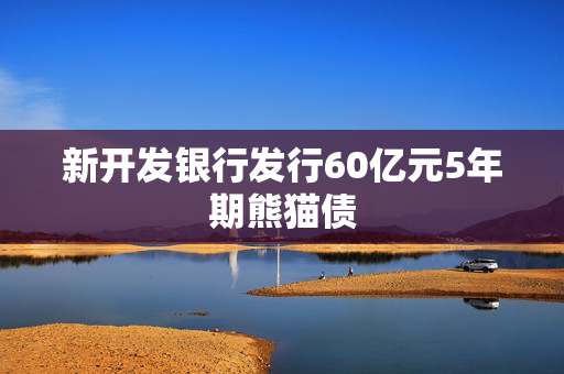 新开发银行发行60亿元5年期熊猫债