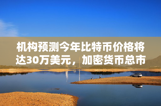 机构预测今年比特币价格将达30万美元，加密货币总市值达到10万亿美元