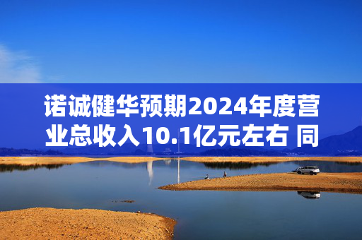 诺诚健华预期2024年度营业总收入10.1亿元左右 同比增长约37%