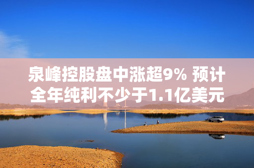 泉峰控股盘中涨超9% 预计全年纯利不少于1.1亿美元